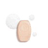 17sh060sg21 texture.png