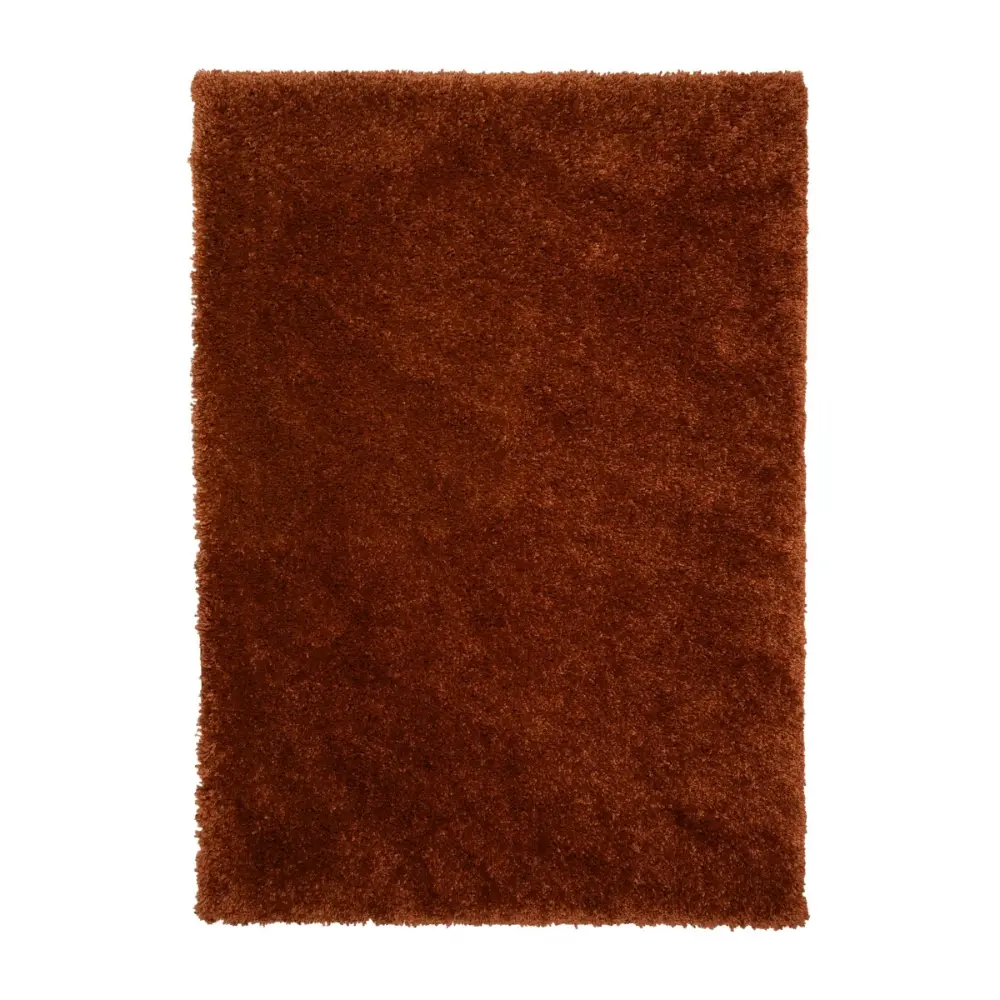 Luxury Shaggy Terra Rug