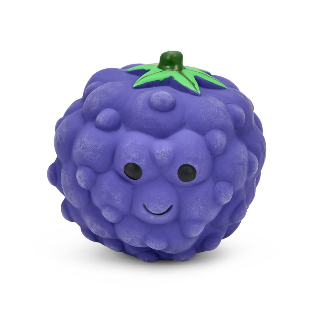 Blackberry dog toy squeaky
